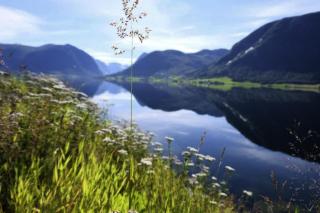 Jølster Lake View - Årdal - 1