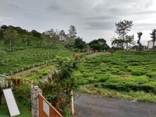 Green Home - Coonoor - 3