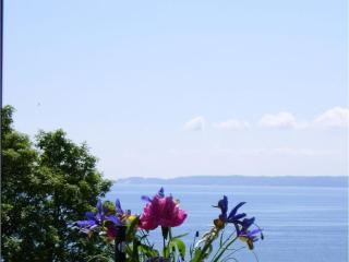 Sea View 6 - Villa Bella Vista - Sassnitz - 2