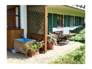 Nice apartment in Bavaria - Oberstaufen - 1