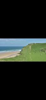 La Tiny house - Ardres - 0