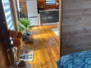 Holiday home with jacuzzi sauna and swimming pool - Stepnica - 4
