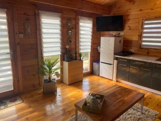 Holiday home with jacuzzi sauna and swimming pool - Stepnica - 6
