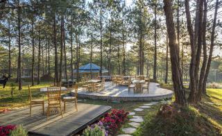 Kim Resort - Khu Nghĩ Dưỡng Rừng Lá Kim - Da Lat - 2