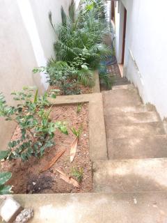 Red Rocks Studio - Comfortable and serene cottage surrounded with palms and tamarind tree - Rajagiriya - 4