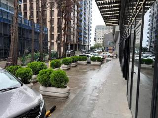 Io's Apartment - Batumi - 1
