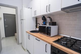 Elegant Fresh Renovated Studio - Bucharest - 1