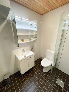 Docent's Flat - Joensuu - 1