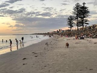 oasis by the beach - Glenelg - 6