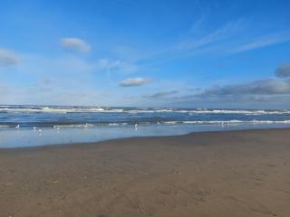 Rembrandts beach view - 7