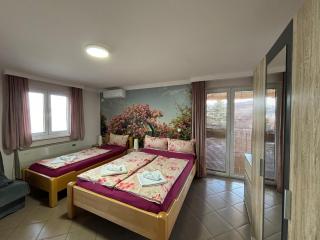 Apartmani "MARIJA" Golubac - Golubac - 5