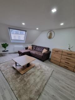 Bel appt centre ville /gare - Belfort - 6