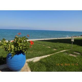 Sykia Seafront Maisonette near beach and mountain - Sikéa - 9