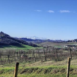 Monfrà - Ospitalità Rurale, Vigneti e Cantina - Vignale Monferrato - 3
