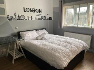 Luxurious Soft Water Air Conditioning TV 5 Bed Arcade House - Londra - 5