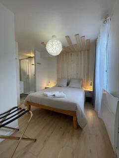 Luxueux T2 lumineux unique Saint Claude - Saint-Claude - 9