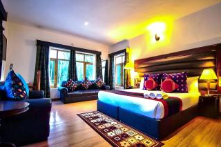 Gomang Boutique Hotel - Leh - 0
