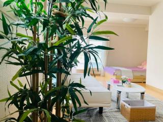 东京巨蛋演唱会 超大露台，网红公寓，整套房源，适合情侣度假，商务旅游 - 4