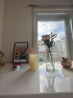 东京巨蛋演唱会 超大露台，网红公寓，整套房源，适合情侣度假，商务旅游 - 3