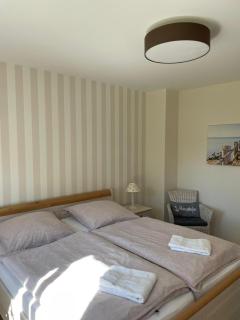 Haus-Seeschwalbe - Nieblum - 5