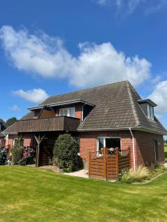 Haus-Seeschwalbe - Nieblum - 1