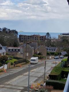 Les goélands - Perros-Guirec - 9