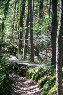 JS Feriendomizile: Fewo Hirschwechsel - 6