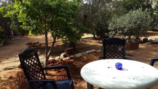Lisa's Farm Place - Rishon LeẔiyyon - 3