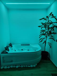 Green room z opcją jacuzzi - Katowice - 1