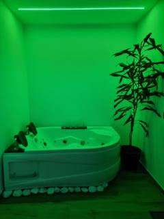 Green room z opcją jacuzzi - Katowice - 4