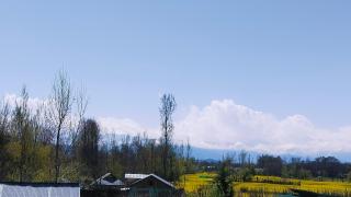 Valley Guest House Pahalgam - Kolur - 7