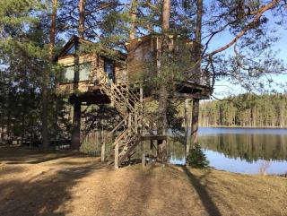 Treehouse Čiekurs - Duķuri - 9