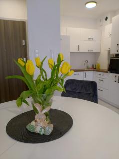 Family Homes - Apartament z widokiem na morze - 5