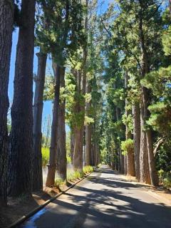 Departamento Parque Pinares Pucón Playa Privada - 8