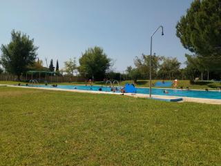 El laurel y el limonero. - 9