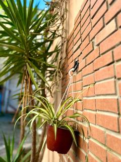Casa vacanze Hippocampus - Salerno - 6