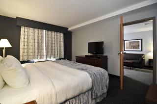 Best Western Plus Woodstock Hotel Conference Centre - Woodstock - 8
