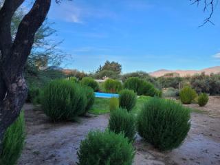 CASA PARA 10 PERSONAS, CAFAYATE - Cafayate - 5