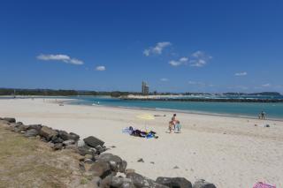 Princess Palm on the Beach - Gold Coast - 1