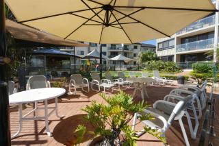 Princess Palm on the Beach - Gold Coast - 2