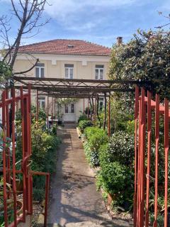 Apartment Dora 1 , on the beach - Tivat - 1