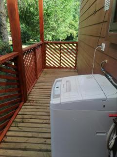 Cisnes del tolten - 2