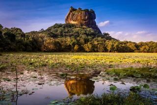 Thilina Homestay - Sigiriya - 6