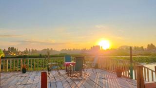 Houseboat Wild Rose - Srinagar - 6
