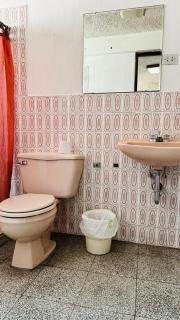 Royal Palace Hostal - 6