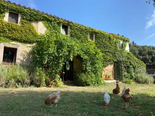 Can Canaleta Hotel Rural - 6