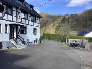 Berg Blick Eifler Bauernhaus modern restauriert - 2