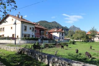 Acogedor bajo con terraza y vistas - Nueva - 0