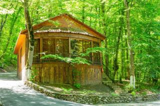 Aynur Resort - 0