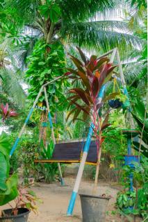 Passi CK Homestay - Pasikuda - 3